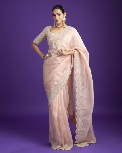 Soft Pink Organza Saree with Scalloped Embroidery