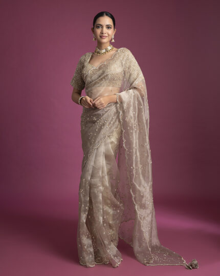 Champagne Gold Organza Tissue Saree