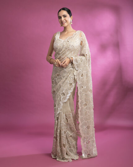 Beige Organza Saree with Floral Lace Embroidery