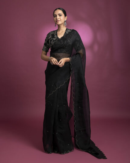 Black Organza Saree with Silver Sequin Work