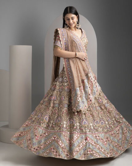 Pale brown organza lehenga set