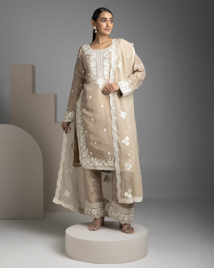 Beige Tissue Salwar Set