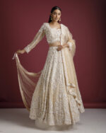 Beige Net Embroidered Lehenga Set