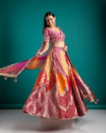 Multicolor Banarasi Silk Lehenga Set