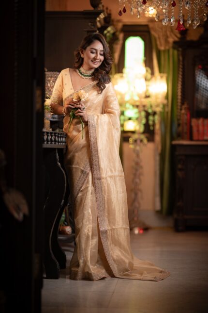 Champagne Organza Tissue Saree