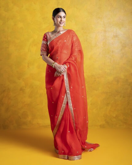 Orange Organza Saree