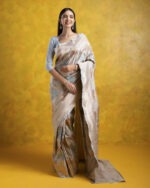 Abalone Grey Banarasi Silk Saree