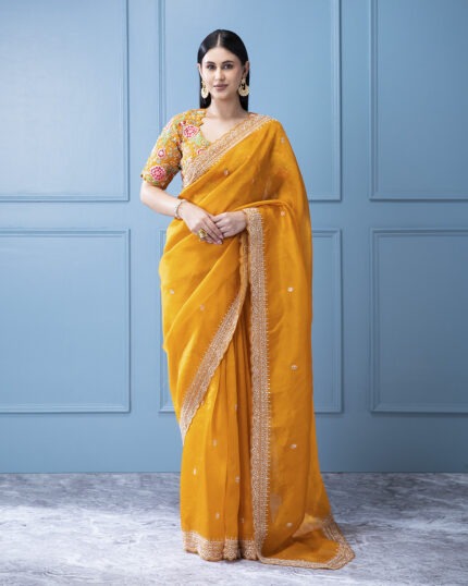 Orange Organza Saree