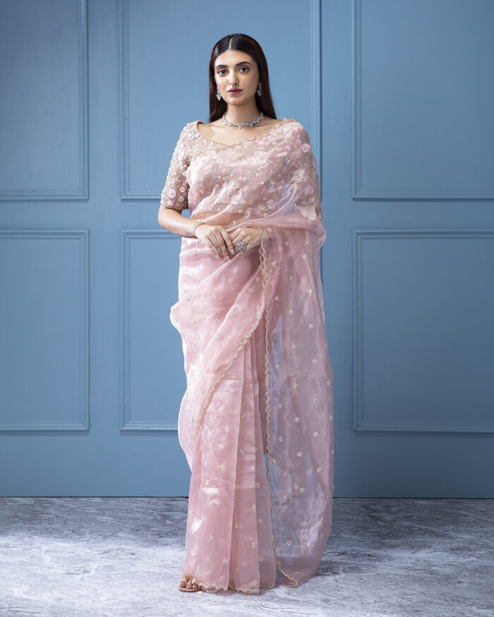 Peach Organza Tissue Saree