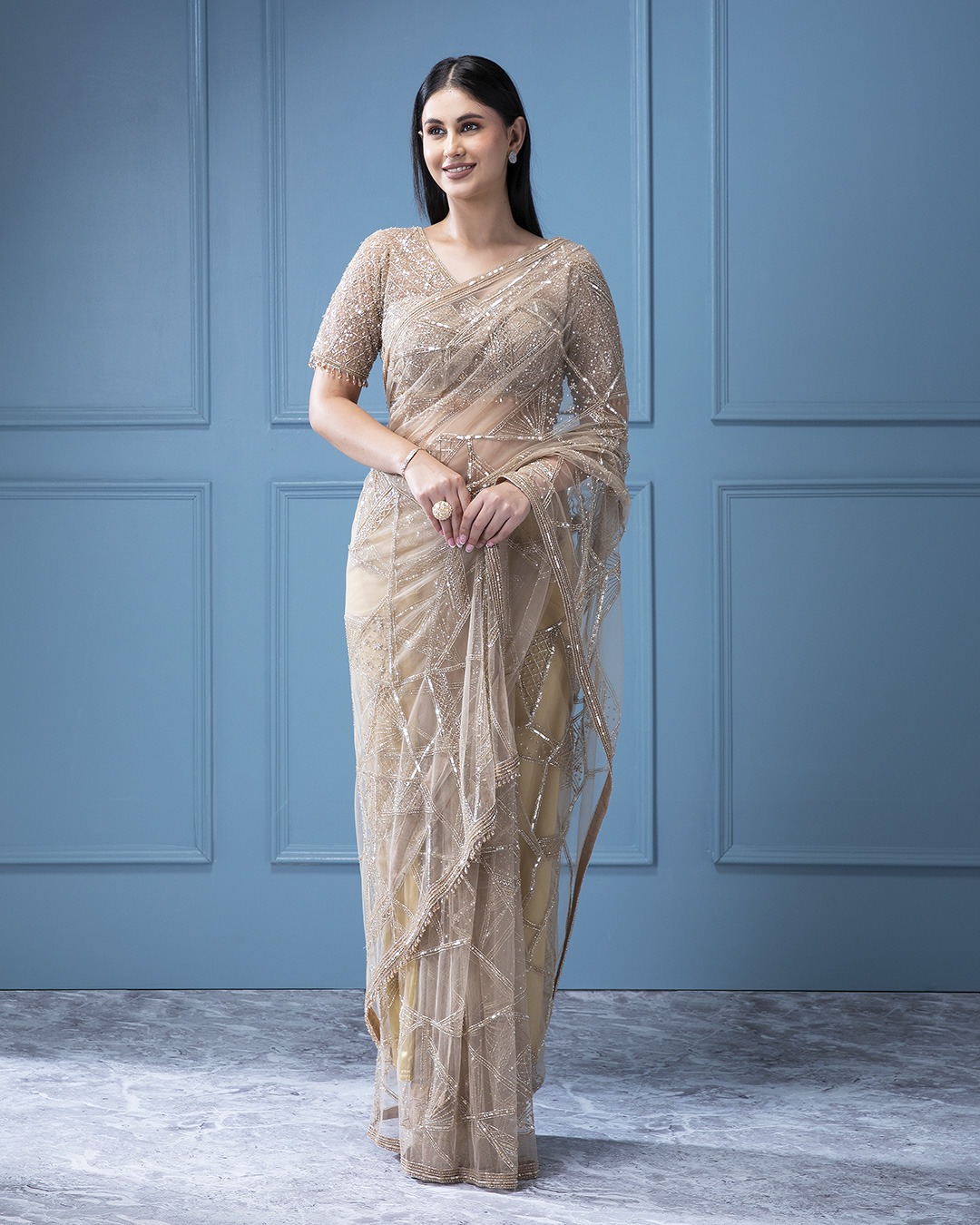 Beige Net Saree