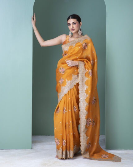 Orange Organza Saree